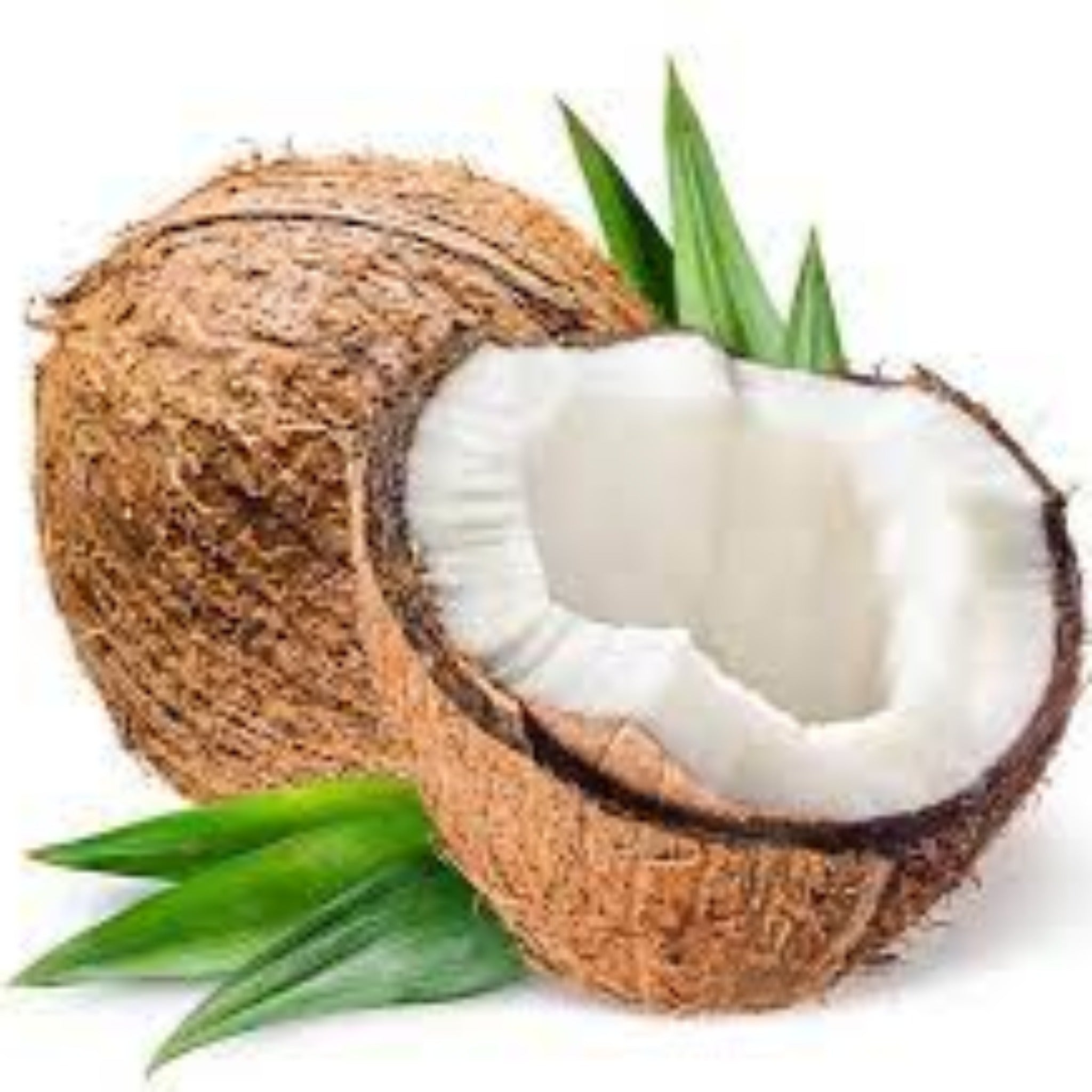 Coconut