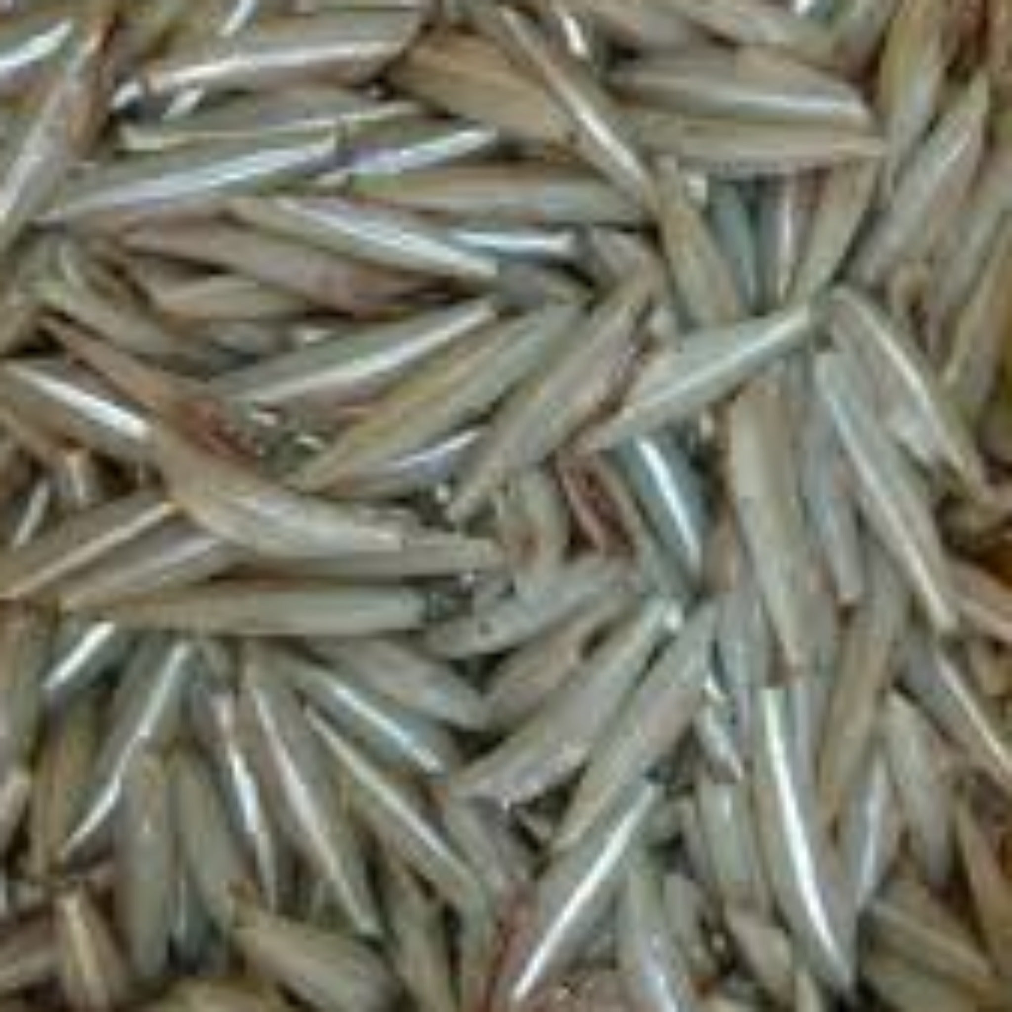 ANCHOVY FROZEN 600g