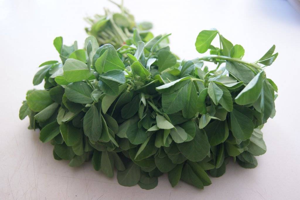 Fresh Methi Leaves