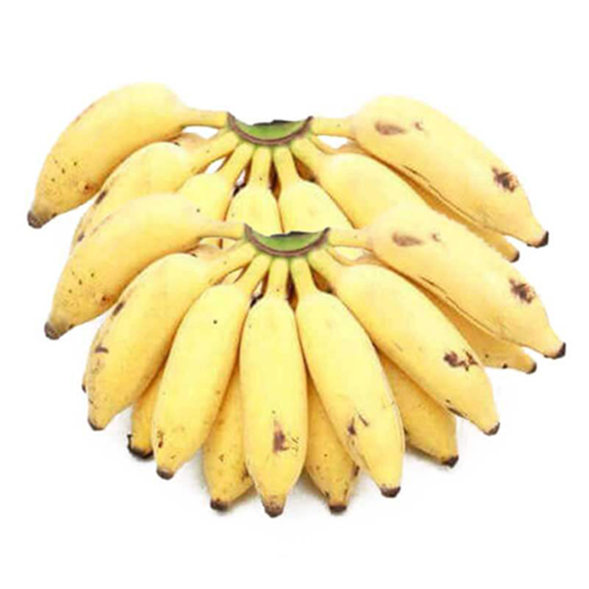 Apple Banana (Njali Poovan)